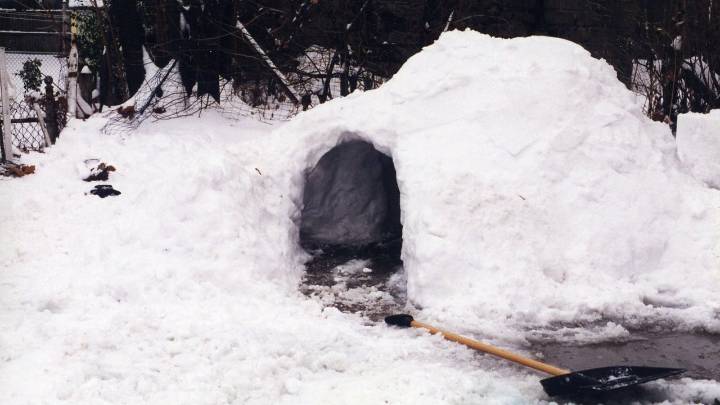 Millions of Homeless Canadian Refugees Flock to US Border After Heatwave Melts Igloos