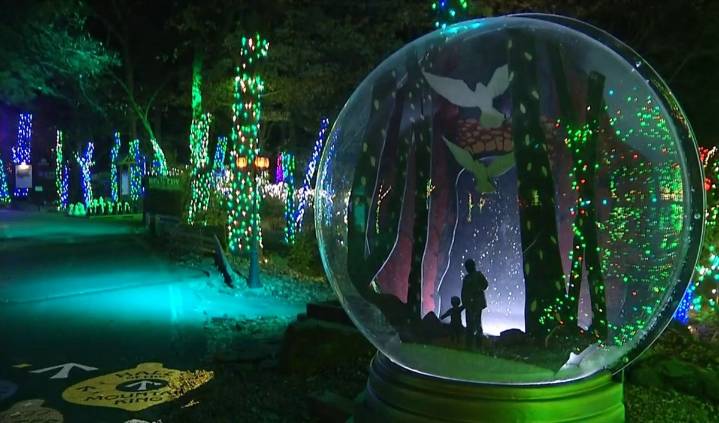 See Rock City's Enchanted Garden of Lights