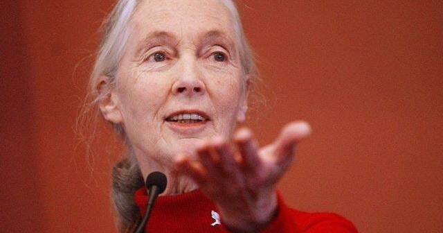 Noteworthy and influential people who've died this year