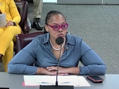 Former CAO for Tami Sawyer sues, claiming wrongful termination