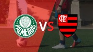 Copa Libertadores: Flamengo y Palmeiras se miden en la final