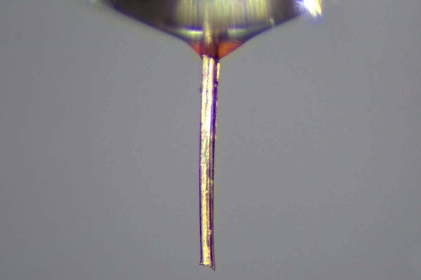 Mosquito proboscis repurposed as a fine nozzle for 3D printing