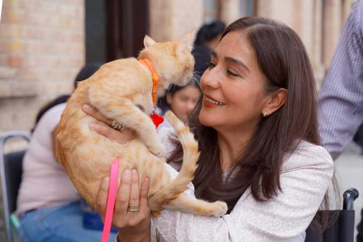 Exitosa jornada de esterilización gratuita en el DIF Ramos Arizpe