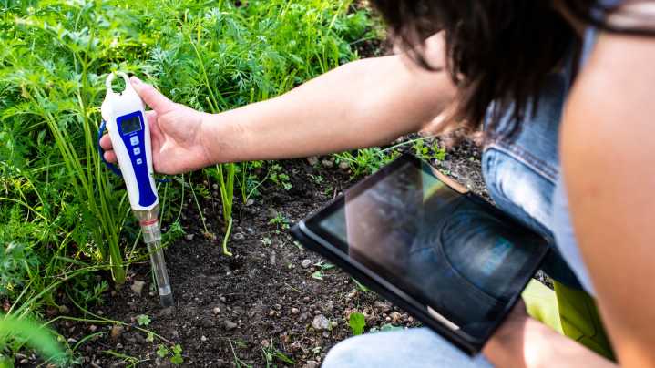 Are Home-Based Soil Testing Kits Really Accurate? Here's What We Know