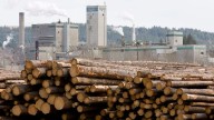 West Fraser to shut mill in 100 Mile House, B.C., amid market challenges