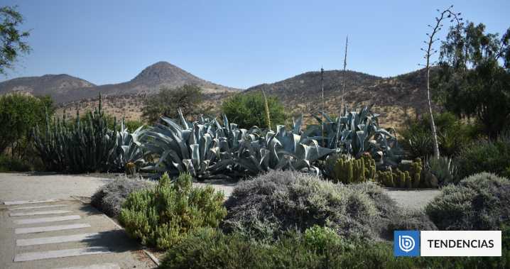 Jardín Botánico Quilapilún de Colina recibe certificado internacional como referente de conservación