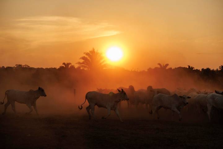 Escenarios naturales de Brasil al alcance del público