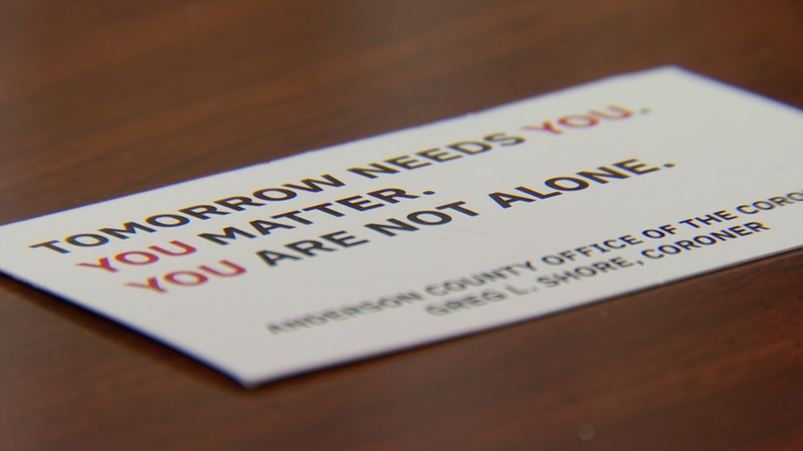 Anderson County sees record spike in suicides, nearly double last year's