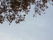 NJ weather: Still breezy, still cool, rain coming up this weekend