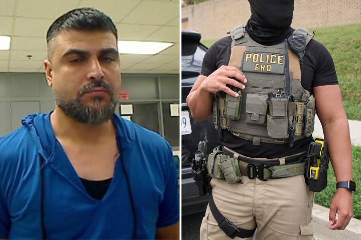 Illegal immigrant accused of grabbing ICE officer's taser while shouting 'Allahu akbar' during arrest