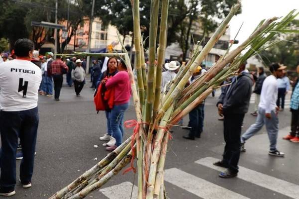 Pactan cañeros reunión con Sader y levantan bloqueos