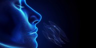 Cómo los humanos decodifican los aromas y les dan valor emocional, según un estudio