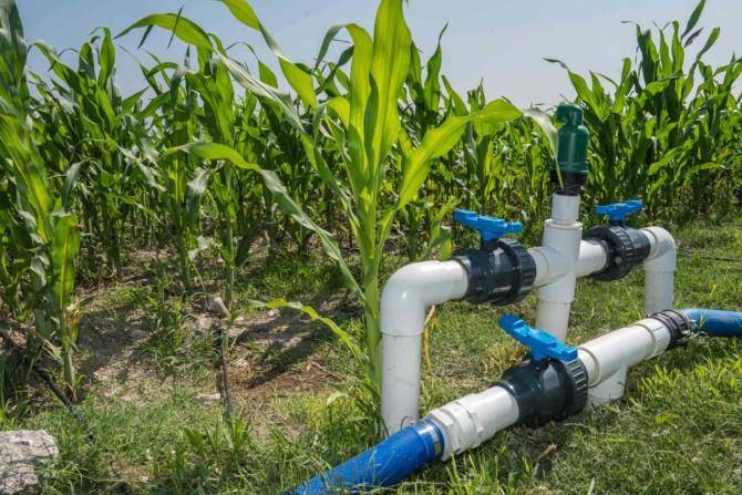 Llaman a agricultores a inscribirse y reinscribirse al PEUA