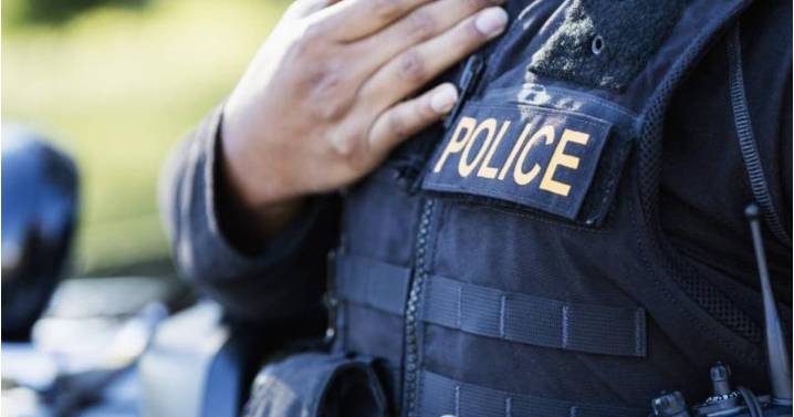 Policía de Múnich desarticula banda de ladrones chilenos y alerta posible vínculo con mafia sudamericana