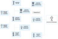 Mapa para entender el sistema. Trofeos para todos: el fútbol local tendrá ocho campeones en 2026, una cifra inédita en el mundo