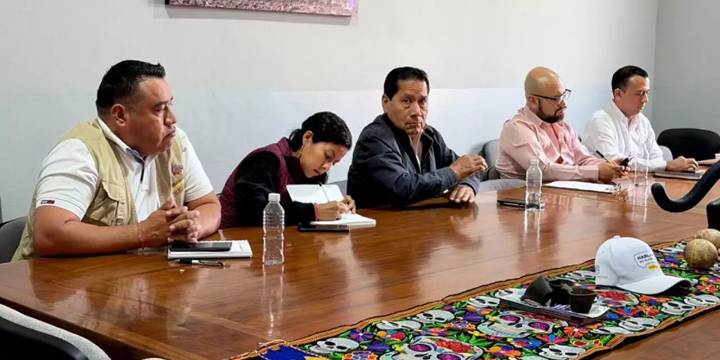 Reconocen tráfico de armas entre Yosondúa y Yolotepec
