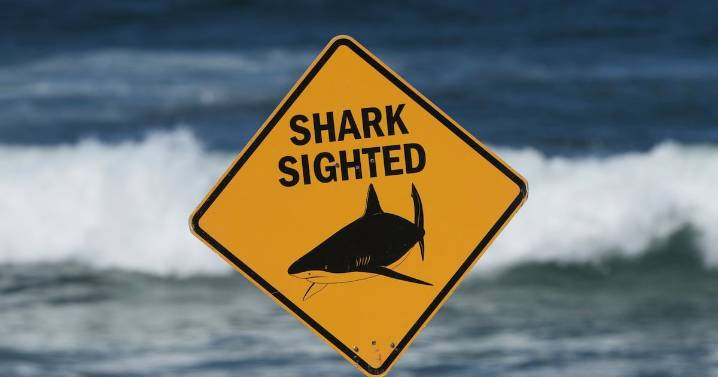 Australia bull shark attack leaves 1 dead, 1 injured