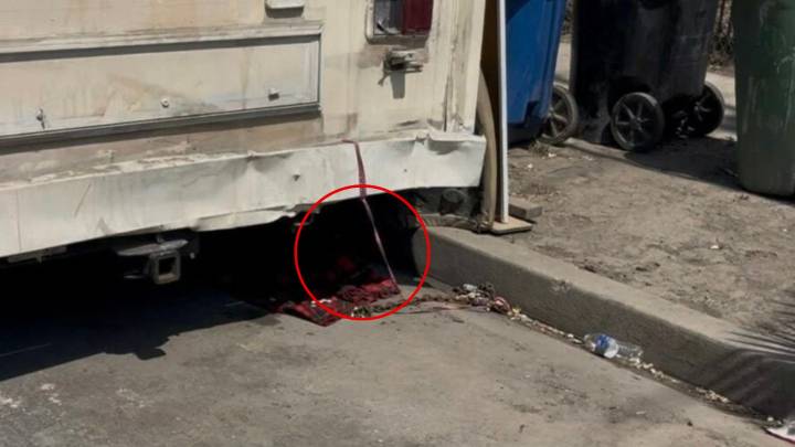 Puppy Chained To A Trailer In California Trembles In Fear Until Compassionate Rescuers Step In