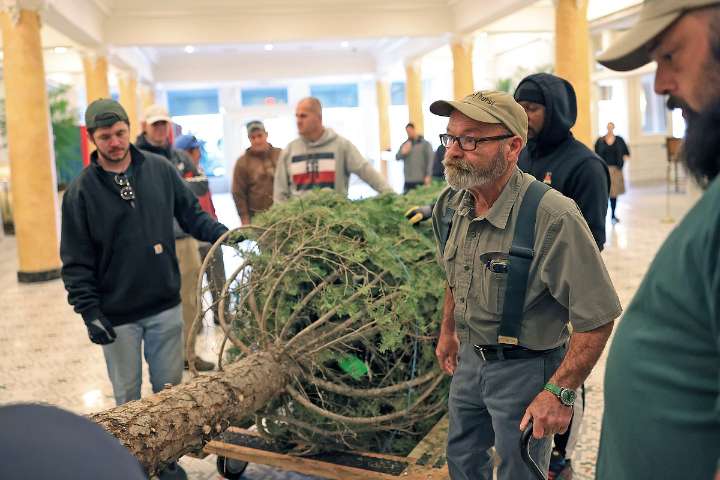 Capital Hotel’s annual Christmas tree raising is a labor of love