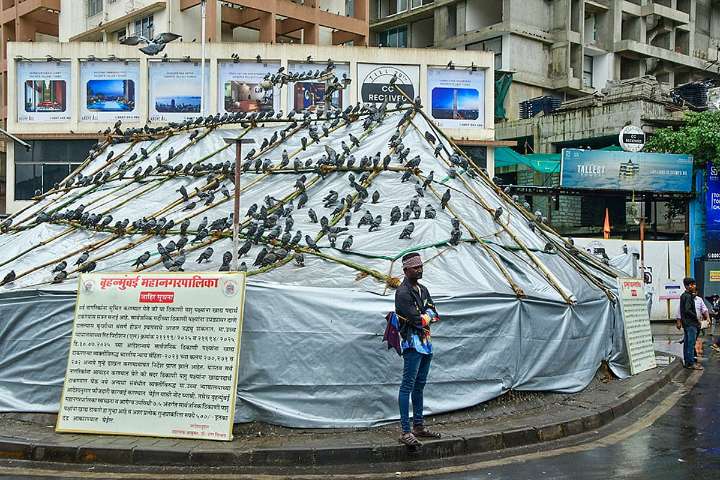 Jain Monk Launches Indefinite Fast at Azad Maidan to Protest Dadar Kabutarkhana Closure