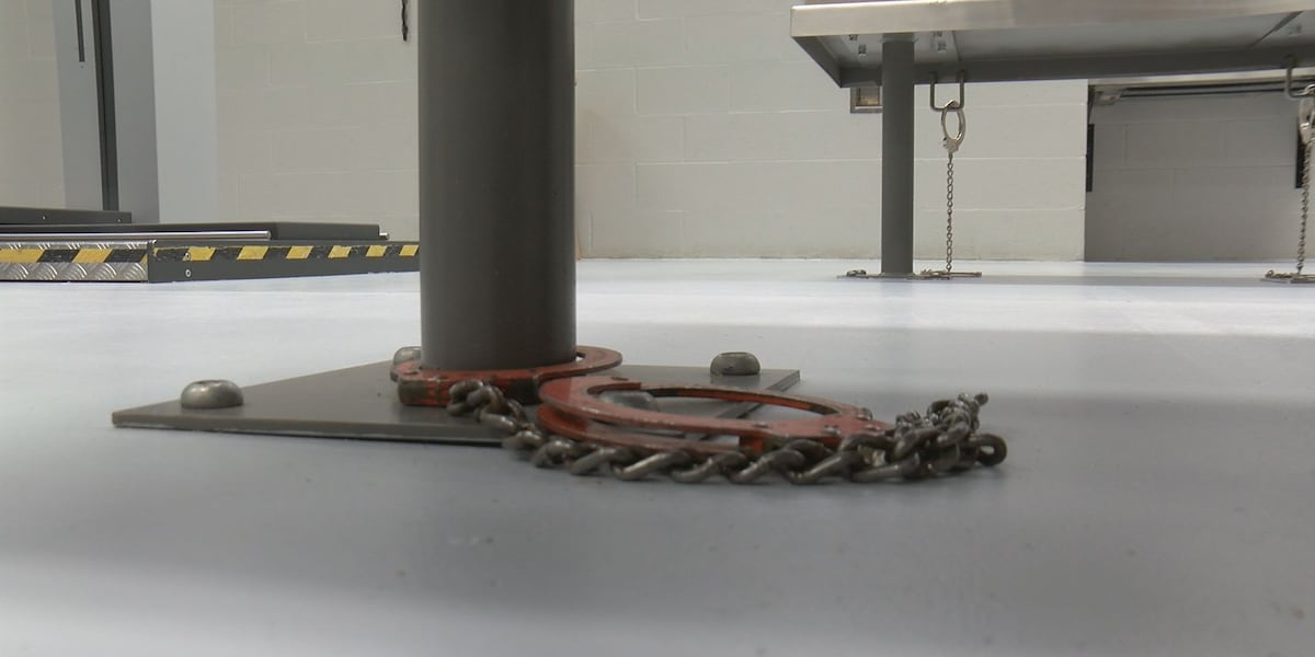 4 people in Chatham County arrested for child sex crimes in 8