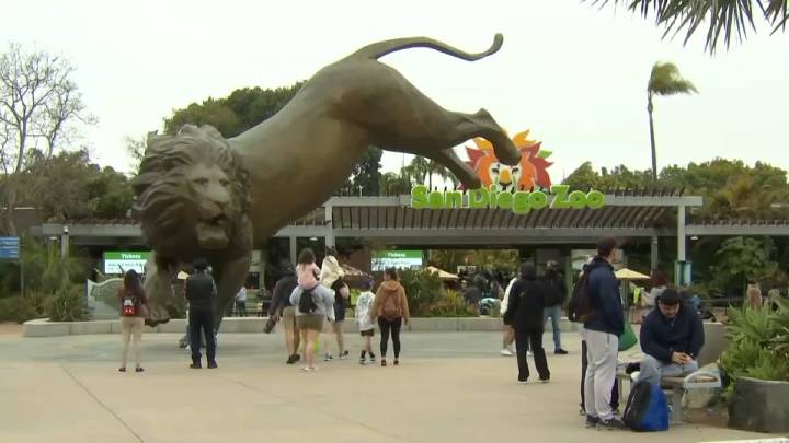 San Diego Zoo to start charging for parking starting January