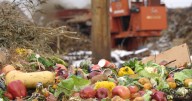 Garden City Compost offers eco-friendly alternative for Thanksgiving food waste
