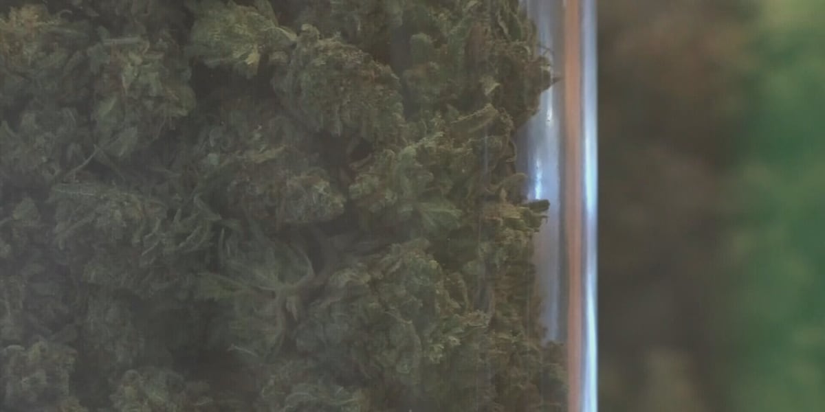 Retail marijuana market likely coming to Virginia following election