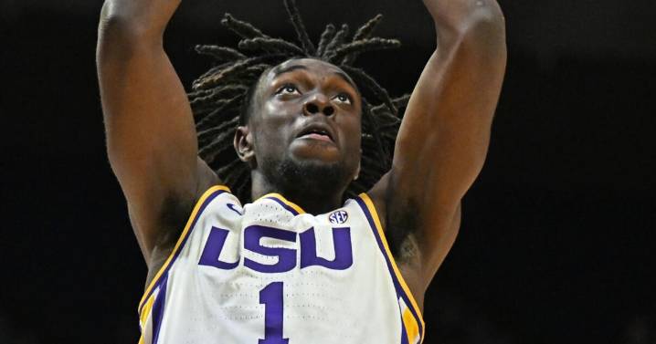 Nwoko pours in career-high 29, LSU cruises by Alcorn State 107
