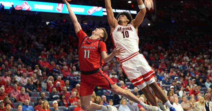 Tobe Awaka grabs 18 rebounds in double-double, No. 13 Arizona rolls over Utah Tech 93