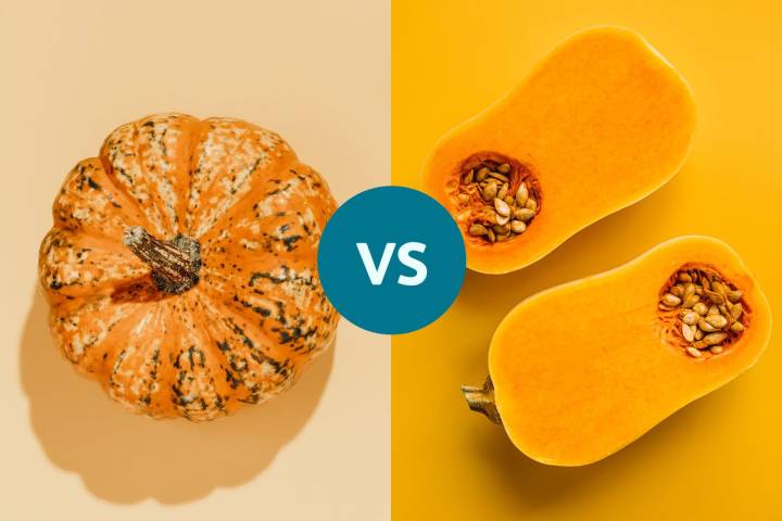 Butternut Squash vs. Pumpkin: Which Fall Favorite Is More Nutritious?