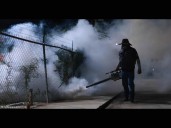 Sonora fumiga más de 154 mil hectáreas contra el mosco del dengue