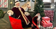 Holiday Horses and Bazaar kicks off the season at Northwestern Stables in Fairmount Park