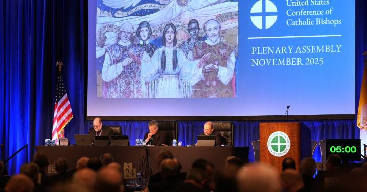 U.S. bishops officially ban gender-affirming care at Catholic hospitals