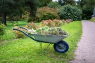 The Simplest Thing You Can Do Right Now for Healthier Perennials Next Spring