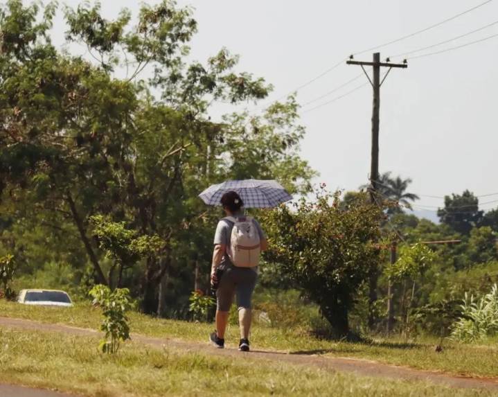Verano más caluroso y con menos lluvias en Misiones: el SMN alerta por un trimestre crítico para la región