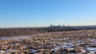Calgary police investigating report of human remains found at Nose Hill Park