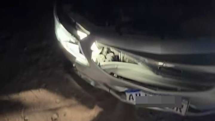 Valen Vargas impactó contra un animal suelto: "Casi no la contamos"