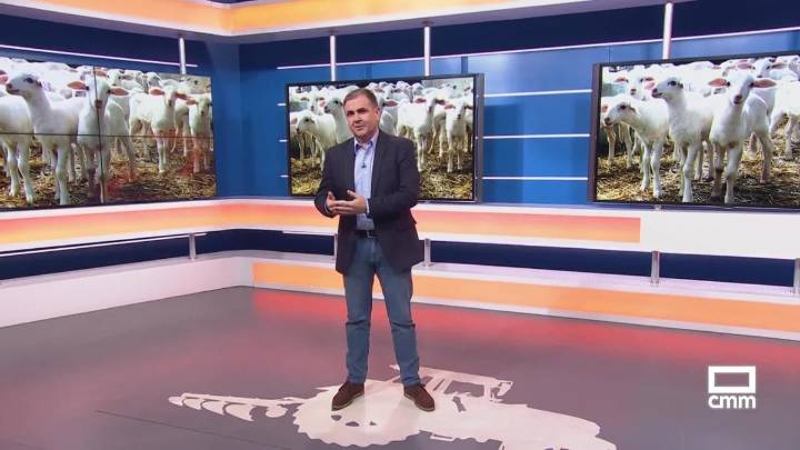 El campo - 04/11/2025