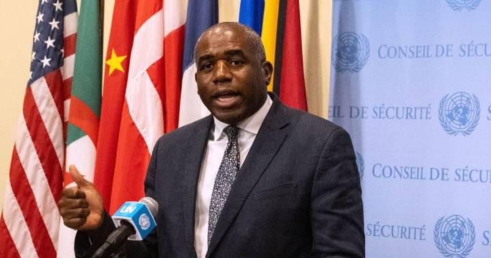David Lammy removed portrait of the late Queen to make way for pan-African flags 