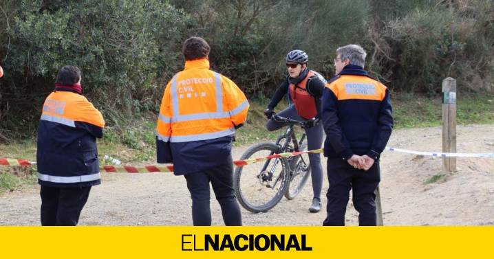Collserola blindado: ¿cuáles son las restricciones para controlar el brote de peste porcina?