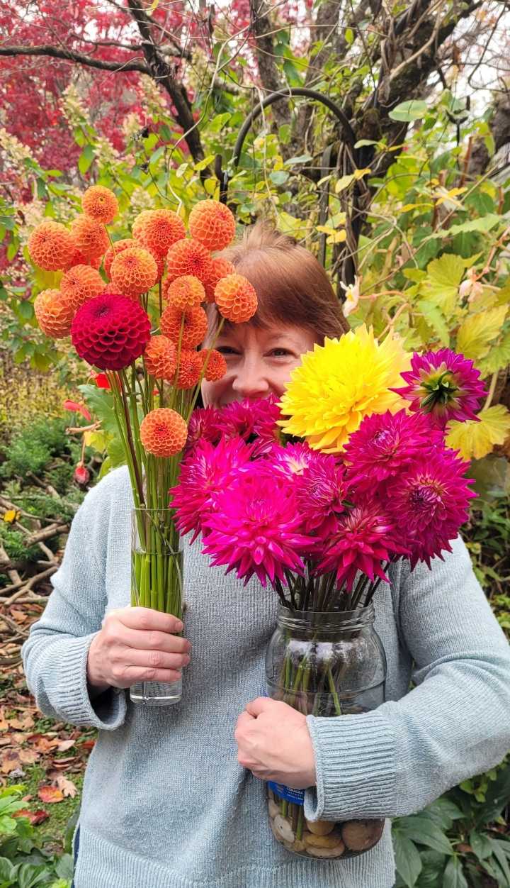 ‘Flower therapy:’ Dahlias delight into November in Northeast Ohio