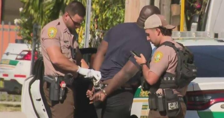 Man arrested after fleeing traffic stop, crashing into home, Miami