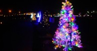 Holiday Tree Trail to debut Dec. 4
