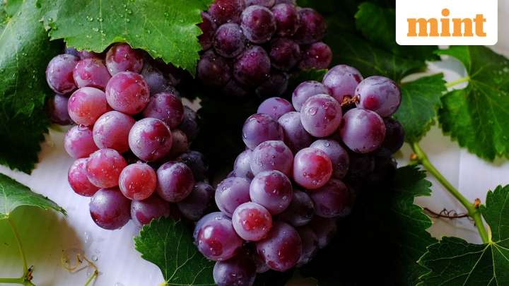 In a first, Indian grapes head to New Zealand, signalling FTA momentum