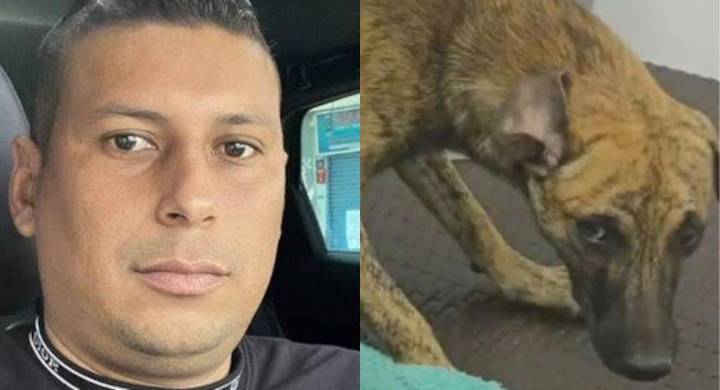 Maltrato animal en Antioquia: presunto abusador canino se entregó a las autoridades