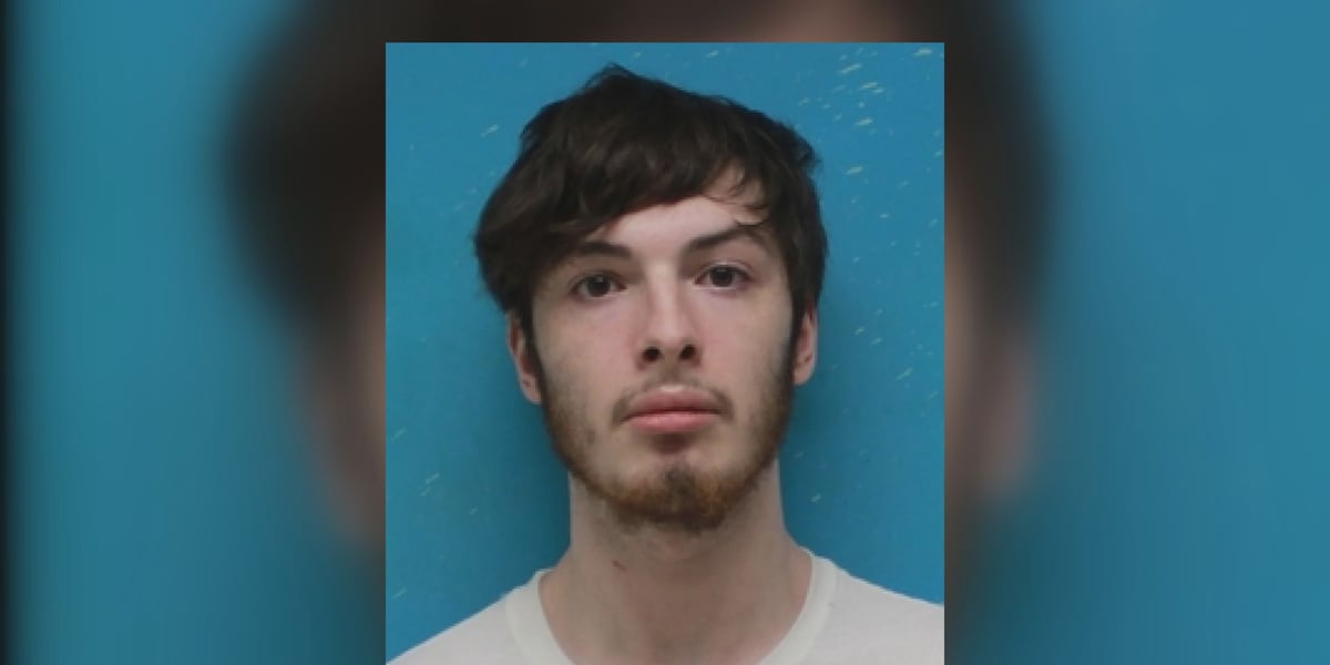 Cape Girardeau man sentenced to 10 years for attempted rape on Cape La Croix Trail