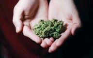 Rapid City Council Committee To Vote On Limiting Cannabis Dispensaries