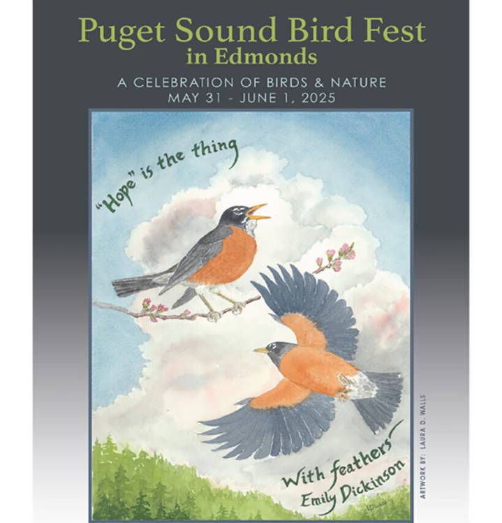 Local artists invited to enter Puget Sound Bird Fest poster art contest