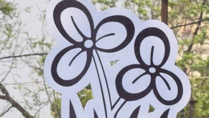 Trinamool plans mega anti-SIR rally in Kolkata on day one of 1st stage of revision exercise